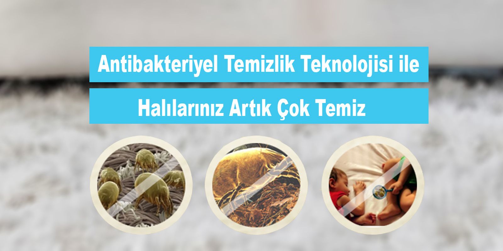 hali-yikama-banner-02 hali-yikama-banner-02